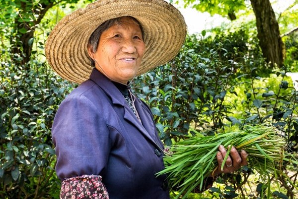 South-Korea: Longevity