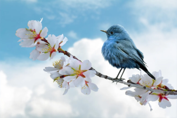 Climate Change Pension Risk