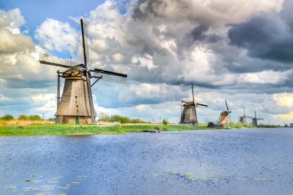 Dutch Transition & Hedge Rates