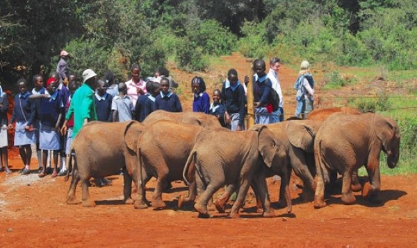 Kenya & Pension Coverage