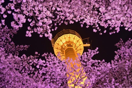 South-Korea: Pensions & ESG