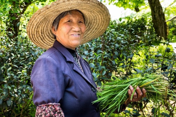 Aging South-Korea