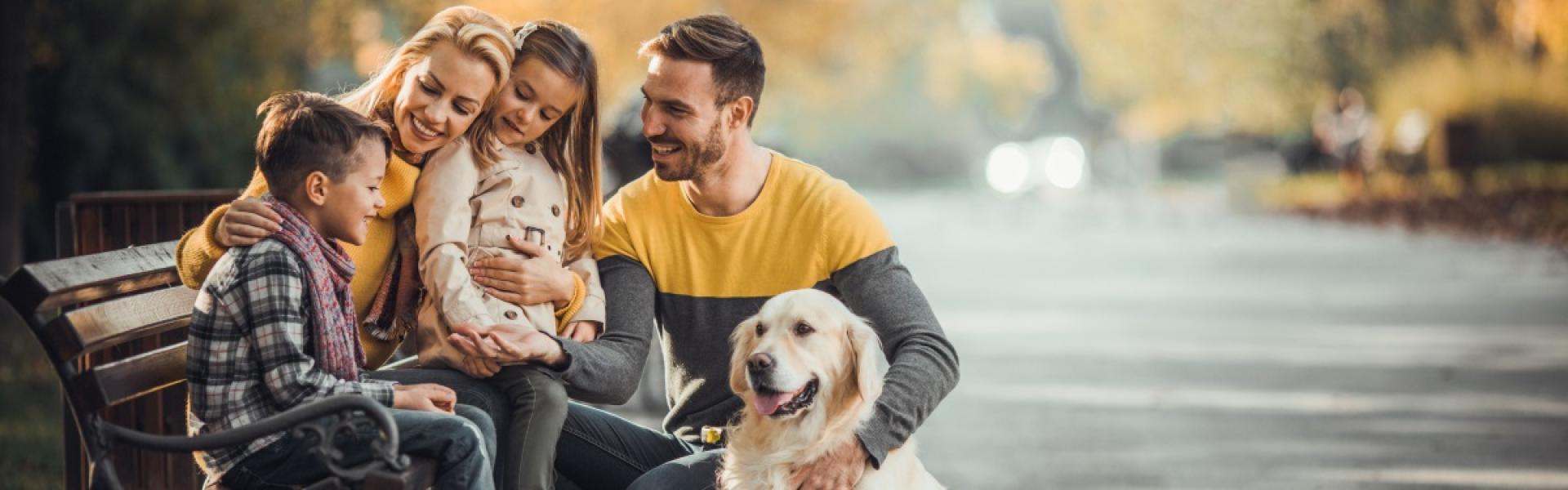 Global Estate Planning Expat Pension Holland