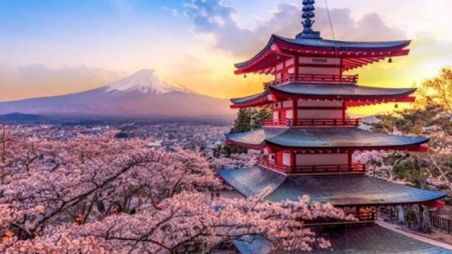 Japan: Pension Funding & Reforms