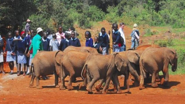 Kenya & Pension Coverage