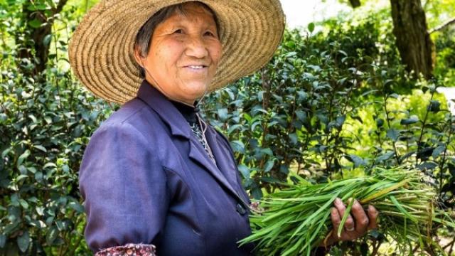 Aging South-Korea