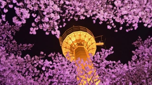 South-Korea & Lump Sum