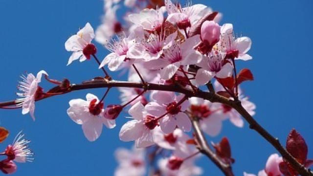 UK Pension Investments